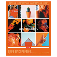 Тетрадь А5 48л клетка "Цвет настроения" на скобе 5 диайнов 48Т5В1/055478 от магазина "Карандаш"