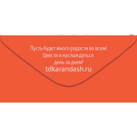 Конверт для денег "С Днем рождения!" 168х84мм 79.163 от магазина "Карандаш"