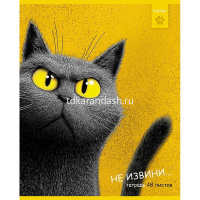 Тетрадь А5 48л клетка "Пушистый философ" на скобе тиснение 5 дизайнов 48Т5тВ1/095072 от магазина "Карандаш"