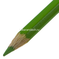 Карандаши 36 цветов "Dino" шестигранные дерево, картон 3595 от магазина "Карандаш"