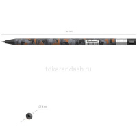 Карандаш цанговый 2,0мм "ColorTouch. Rough Native" HB с точилкой, пластик 48187 от магазина "Карандаш"