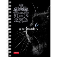 Записная книжка А6 80л "Royal Cats" клетка, на спирали, двойная твердая обложка, 3 дизайна 80ЗК6В1гр от магазина "Карандаш"