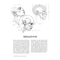 Книга "Морфо. Скелет и мышцы человека. Анатомия д/художников" 192стр. 978-5-04-207776-0 от магазина "Карандаш"