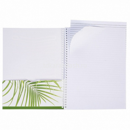 Тетрадь А4 96л без линовки "Nature" на спирали, обложка с карманом, перфорация на отрыв 073917 от магазина "Карандаш"