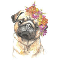 Набор для раскрашивания "Акварельный скетч. Милый мопс" А4 1 лист RPSA-0010 от магазина "Карандаш"