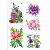 Папка д/акварельных набросков "Акварельные этюды. Цветы" А4 10л акварельная бумага 200г/м2 Р-2047 от магазина "Карандаш"