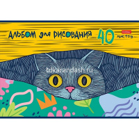 Альбом для рисования А4 40л "Котофей" на скобе 5 дизайнов 091512 от магазина "Карандаш"