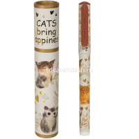 Ручка шариковая "DreamWrite. Сказочный день" 0,7мм синяя, в футляре, 3 вида 20-0264/16 от магазина "Карандаш"