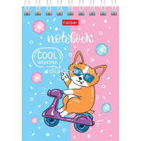 Блокнот А7 40л "Забавные корги" клетка, на спирали, 6 дизайнов 40Б7В1гр от магазина "Карандаш"