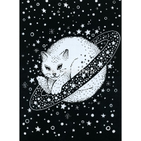 Альбом с гравюрами 14х20см 10л. "Космический кот" (в комплекте пластиковый штихель) GHPB-06 от магазина "Карандаш"