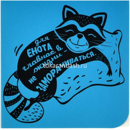 Закладка магнитная угловая "Спящий енотик" 60х60мм 50262 от магазина "Карандаш"