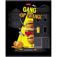 Тетрадь А5 48л клетка "Апельсиновая банда" на скобе выборочный лак 5 дизайнов 083206 от магазина "Карандаш"