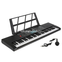 Синтезатор с микрофоном 65х18см 54 клавиши, пластик BD-542/2005384 от магазина "Карандаш"