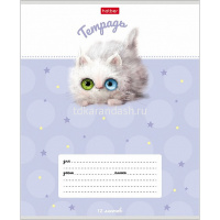 Тетрадь А5 12л клетка "Кошарики" на скобе 5 дизайнов 12Т5В1/074359 от магазина "Карандаш"