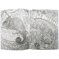 Арт-раскраска "Таинственный лес" В5 (193х252мм) 112стр. склейка, лак Р-9737 от магазина "Карандаш"