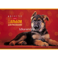 Альбом для рисования А4 40л "Любимые питомцы" на скобе 5 дизайнов 079741 от магазина "Карандаш"