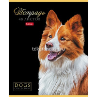 Тетрадь А5 48л клетка "Портрет лучшего друга" на скобе выборочный лак 5 дизайнов 080210 от магазина "Карандаш"