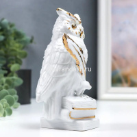 Сувенир "Сова на книгах" белый 13см керамика Y10417-24 от магазина "Карандаш"