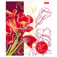 Тетрадь А5 48л линия "Painted Flowers" на скобе 3D лак матовая ламинация 5 дизайнов 058946 от магазина "Карандаш"