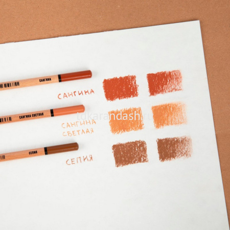 Набор пастельных карандашей 6 шт. L-170мм d-7мм (сангина 2шт, сангина светлая 2шт, сепия 2шт) VFPS-6 от магазина "Карандаш"