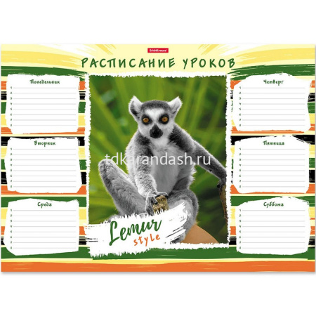 Расписание уроков А3 "Lemur Style" 49716