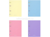 Тетрадь на кольцах А5 80л клетка "Pastel" пластиковая обложка, ассорти 50164 от магазина "Карандаш"