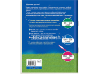 Книга на английском языке "Золушка" Карачкова А.Г. 16стр. 978-5-8112-5783-6 от магазина "Карандаш"