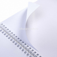 Скетчбук А4 21х29,7см 50л 100г/м2 "На кончиках пуантов" спираль, твердая обложка 075970 от магазина "Карандаш"