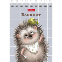 Блокнот А7 40л "Хорошо быть ёжиком" клетка, на спирали 6 дизайнов 081183 от магазина "Карандаш"
