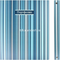 Папка-портфолио универсальное А4 "Фактура полосы" на кольцах 40 файлов пвх, пластик 39282 от магазина "Карандаш"