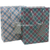 Пакет подарочный "Клеточка" 18х24х8,5см 3 цвета 11459-24