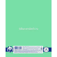 Тетрадь А5 18л линия "Premium. Панда-Тетрадь" на скобе, 80 гр/кв.м. 18Т5A2_23630/065624 от магазина "Карандаш"