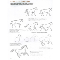Книга-скетчбук начинающего художника "Создаем наброски лошадей шаг за шагом" 64стр. 978-5-00241-199- от магазина "Карандаш"