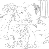 Раскраска д/акварели 21х21см "Юному художнику.Белка" отрывная склейка жесткая подложка 36стр. 084153 от магазина "Карандаш"