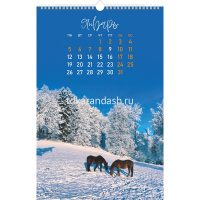 Календарь 2026 "Год Лошади. Дух свободы" 30х45см настенный перекидной, на гребне, с ригелем 091848 от магазина "Карандаш"