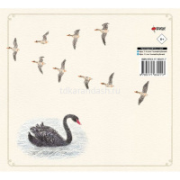 Книга "Уроки милого рисования. Рисуем милых птиц" Акикуса Аи 0+ 112стр. 978-5-17-163411-7 от магазина "Карандаш"