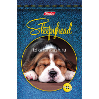 Блокнот А7 48л "Сони-Засони" клетка, склейка, 3-х цветный блок, 5 дизайнов 046361 от магазина "Карандаш"