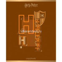 Тетрадь А5 48л клетка "Гарри Поттер" на скобе 3D фольга матовая ламинация 5 дизайнов 068667 от магазина "Карандаш"
