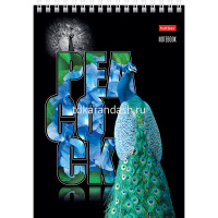 Блокнот А5 80л "Птица Дивная" клетка, на спирали, 3D лак матовая ламинация, 2 дизайна 061435 от магазина "Карандаш"