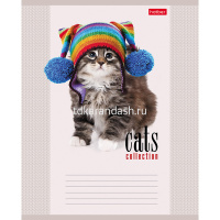 Тетрадь А5 12л клетка "Кототерапия" на скобе, 5 дизайнов 12Т5В1/058038 от магазина "Карандаш"