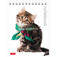 Блокнот А6 40л "Милые Котята" клетка на гребне 40Б6B1гр/004667 от магазина "Карандаш"