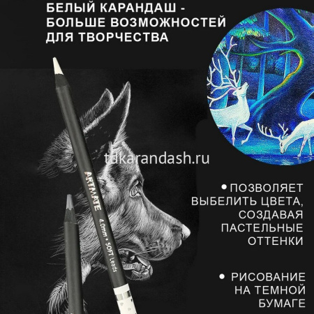 Карандаши 24 цвета "Blackwood Artmate" 12шт. двусторонние трехгранные дерево, картон 43186 от магазина "Карандаш"