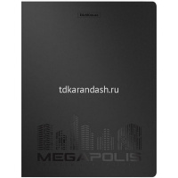 Папка на 2-х кольцах "Megapolis" А4 35мм пластик 0,60мм, ассорти, внутренний карман 49983 от магазина "Карандаш"
