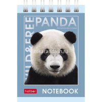 Блокнот А7 40л "Дикие и свободные" без линовки, на спирали 5 дизайнов 081128 от магазина "Карандаш"