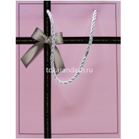Пакет подарочный "Подарочная коробка" 18х23х10см 4 цвета Y10554-24 от магазина "Карандаш"
