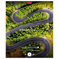 Тетрадь А5 48л клетка "Ассорти. Выпуск №1" на скобе 5 дизайнов 48Т5В1/087345 от магазина "Карандаш"