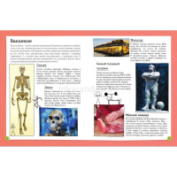 Энциклопедия "Почему, зачем и как. Человек: как работает наш организм" 128стр. 978-5-17-105463-2 от магазина "Карандаш"