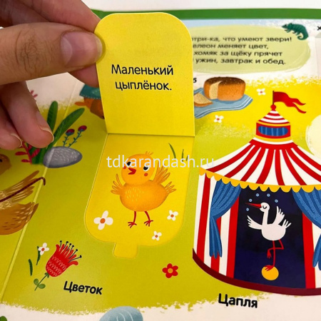 Книжка с окошками "Играй и учись. Азбука" 12стр. 9785001346357 от магазина "Карандаш"