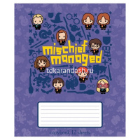 Тетрадь А5 12л линия "Гарри Поттер" на скобе 5 дизайнов 12Т5В2/059991 от магазина "Карандаш"