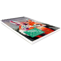 Скетчбук А5+ 16х24см 30л 180г/м2 "Лис" евроспираль, твердая обложка ТСФМ5305303 от магазина "Карандаш"